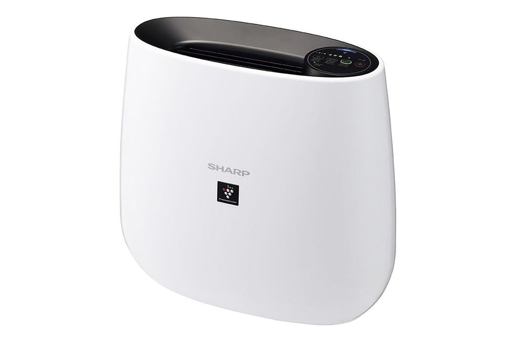 Máy lọc không khí Sharp FP-J30E-B 23m2